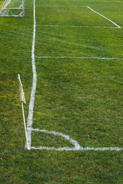 منتخب مصرالمباريات القادمة وتوقعات الأداء