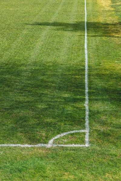 نتائج دوري المحترفين السعودي 2021-2022تحليل شامل للموسم المثير
